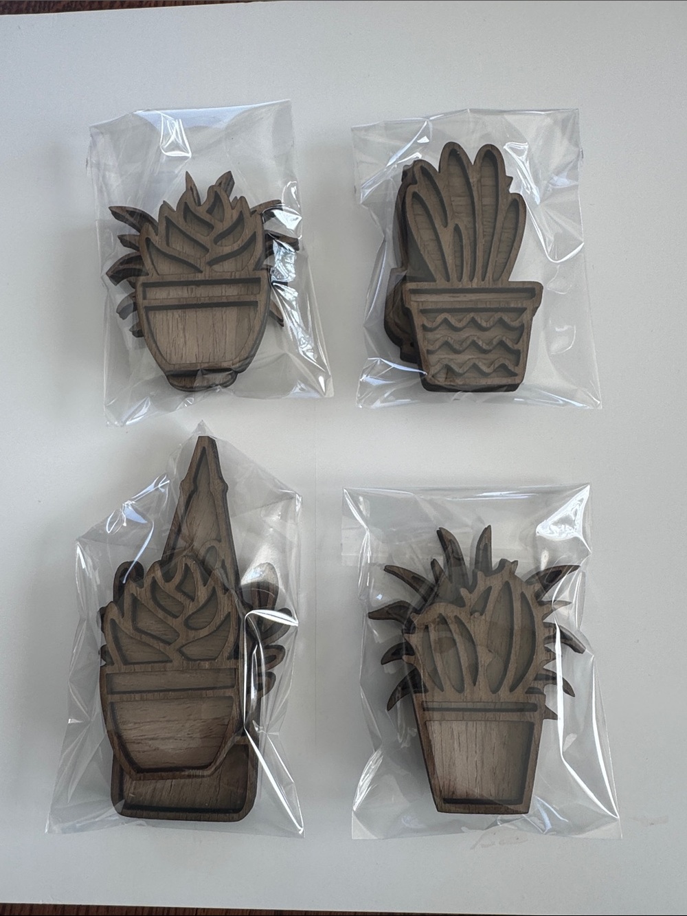 🌵Succulent Magnet- Set of two. Homemade laser walnut magnets.